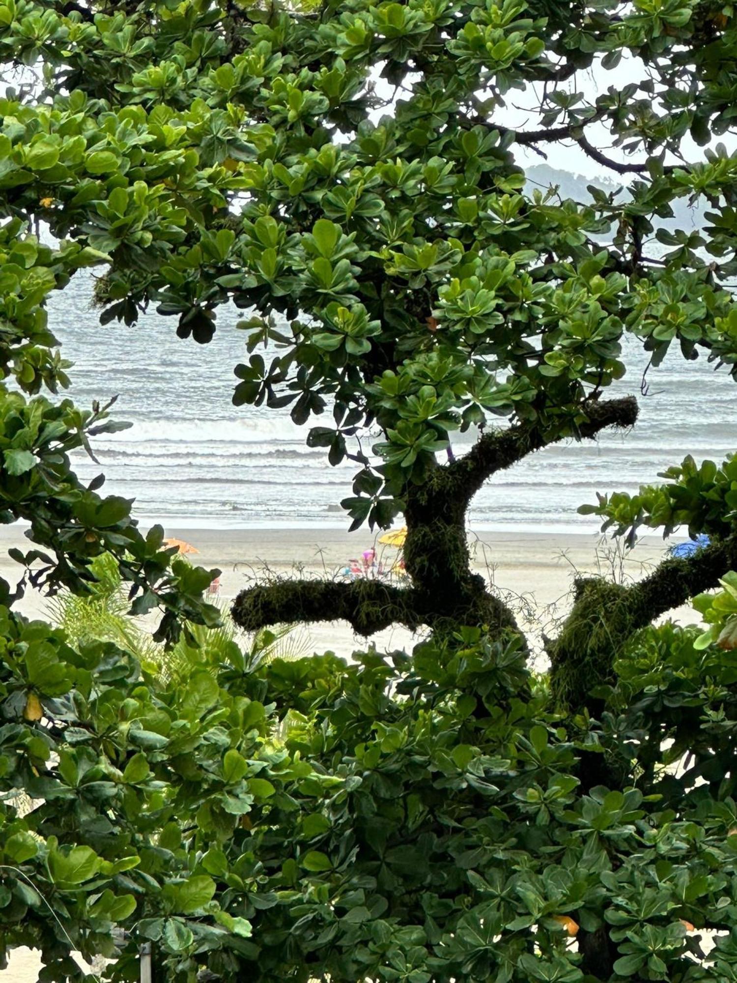 산토스 Ap Pe Na Areia Vista Parcial Mar 아파트 외부 사진